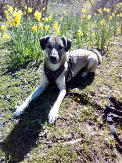 Handy-Foto-Challange Nr.9-Beitrag-Bild