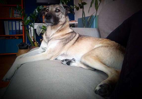 Foto-Challange No.1 - Alles aber nicht die Kamera-Beitrag-Bild