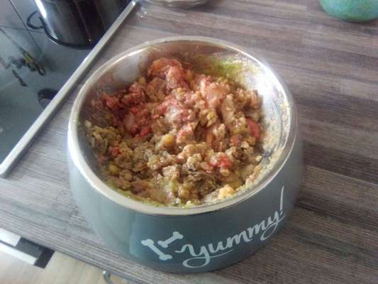 Zeigt her Eure Futternäpfe-Beitrag-Bild