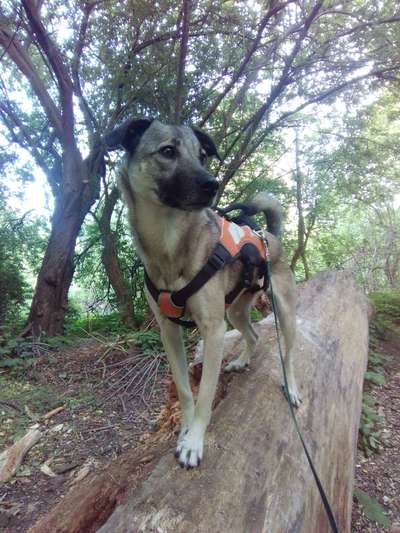 Fotowettbewerb Natur-Beitrag-Bild