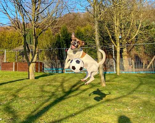 Fotochallenge Nr. 52 „Spring!“-Beitrag-Bild