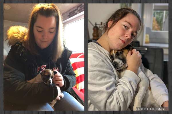 Welpenfotos-Beitrag-Bild