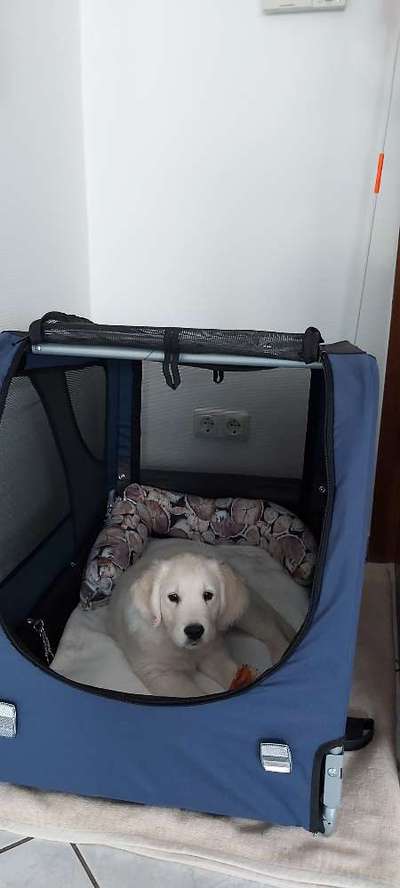 Foto Challenge 3-Beitrag-Bild