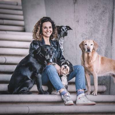 Hundeschulen-melshundekram-Bild