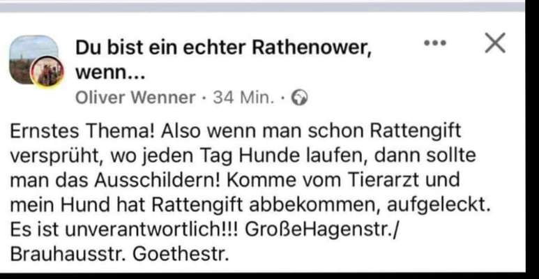 Giftköder-Rattengift-Bild