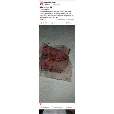 Giftköder-Rattengift !!!-Bild