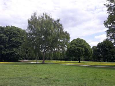 Hundeauslaufgebiet-Nordpark-Bild