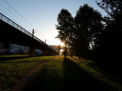 Hundeauslaufgebiet-Merheimer Straße-Bild