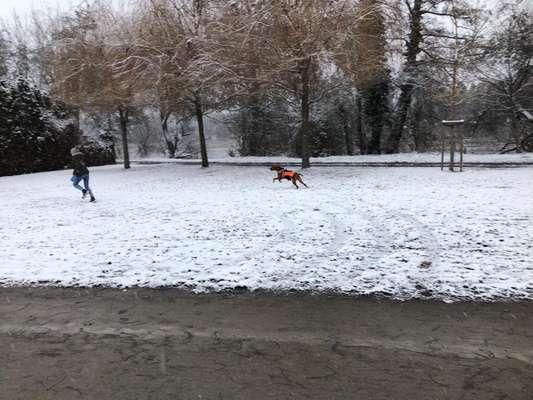 Dogorama Photo Challenge - Es wird nochmal kalt!-Beitrag-Bild