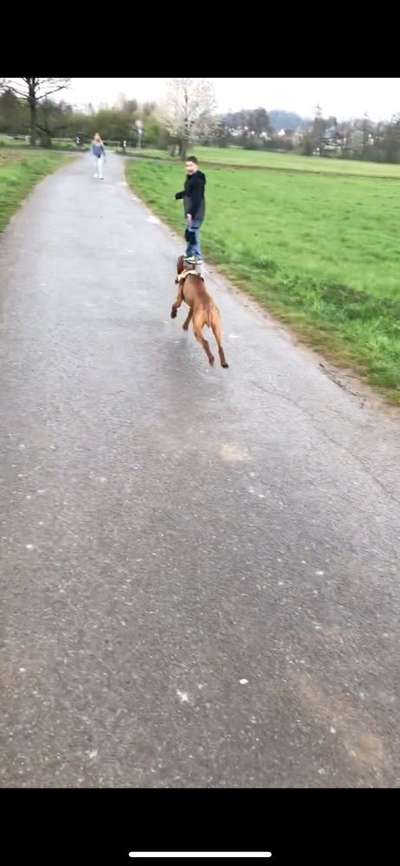 Fotochallenge Nr. 67: Euer Lieblingsbild-Beitrag-Bild