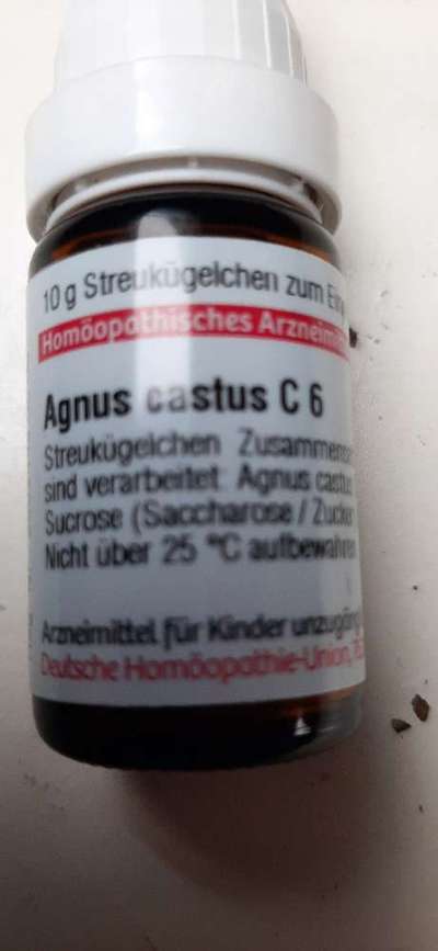 Rüde gestresst wegen Hündin-Beitrag-Bild