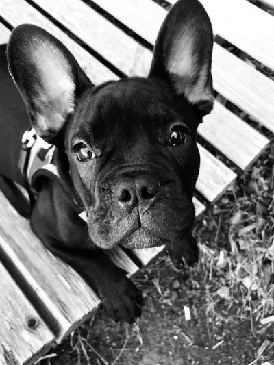 Handy-Foto Challange Nr. 10-Beitrag-Bild