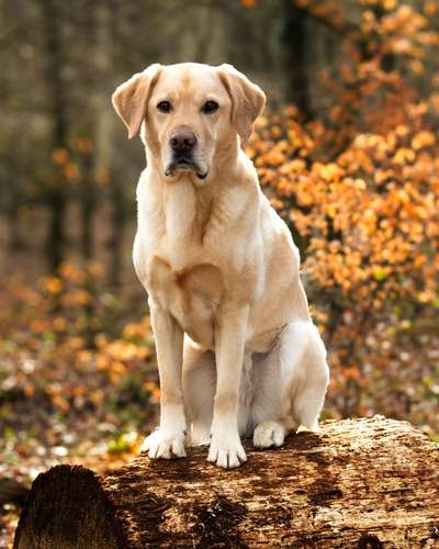 Austausch zur Fotografie-Beitrag-Bild