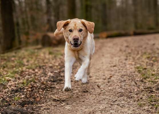Austausch zur Fotografie-Beitrag-Bild