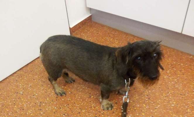 Fotochallenge Nr. 56 - geliebte Senioren-Beitrag-Bild