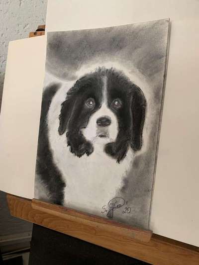 Fotochallenge Nr. 56 - geliebte Senioren-Beitrag-Bild