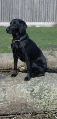 Fotochallenge Nr. 56 - geliebte Senioren-Beitrag-Bild