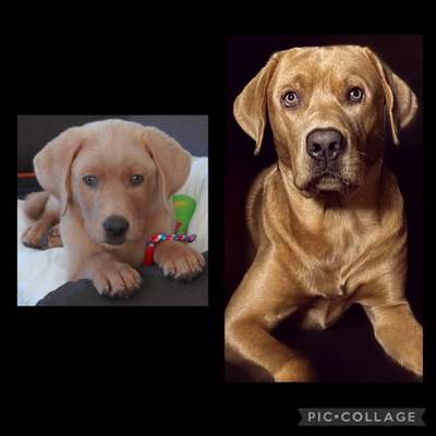 28. Handy-Fotochallenge - Damals und heute-Beitrag-Bild