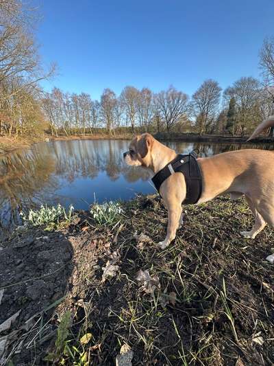 Wie sitzt mein Geschirr?-Beitrag-Bild