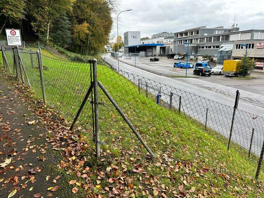 Hundeauslaufgebiet-umzäunte Hundewiese Schwerziwald-Bild