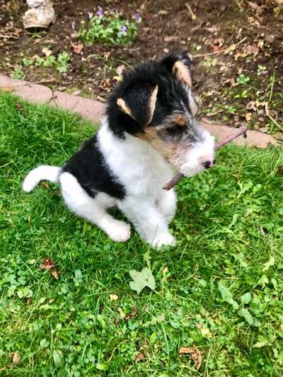 Lieblingsbild-Beitrag-Bild