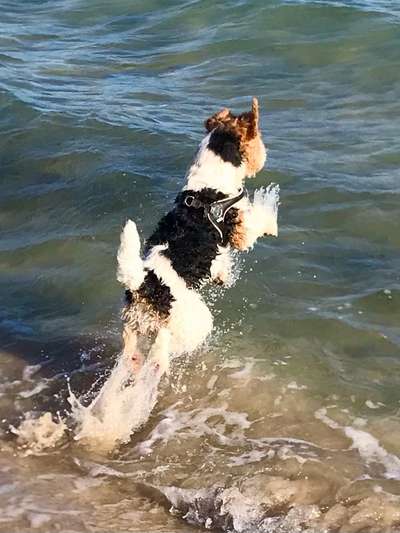 22. Collagen Challenge- Lebensfreude-Beitrag-Bild