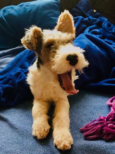 22. Collagen Challenge- Lebensfreude-Beitrag-Bild