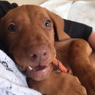 Foto Challenge 3-Beitrag-Bild