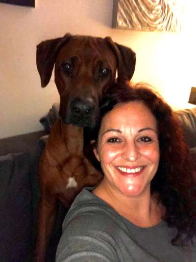 Rhodesian Ridgeback-Beitrag-Bild