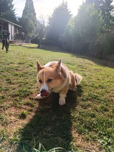 20. Handy -Foto-Callenge-Beitrag-Bild