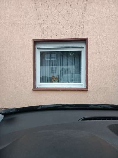 15. Handyfoto Challenge - Indoor Aktivitäten-Beitrag-Bild