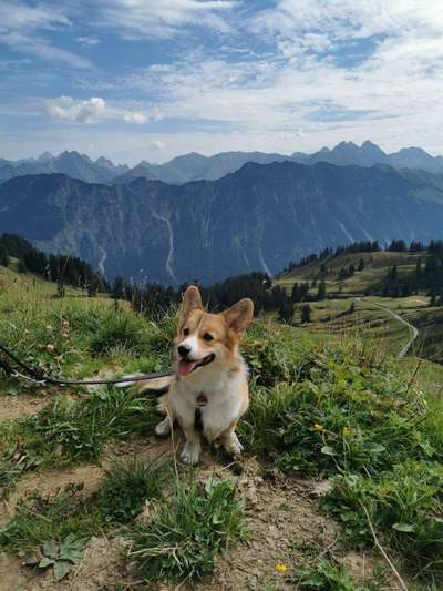 Fotochallenge Nr.100 Urlaubsimpressionen-Beitrag-Bild