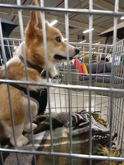 Fotochallenge 101:
On Tour-Beitrag-Bild