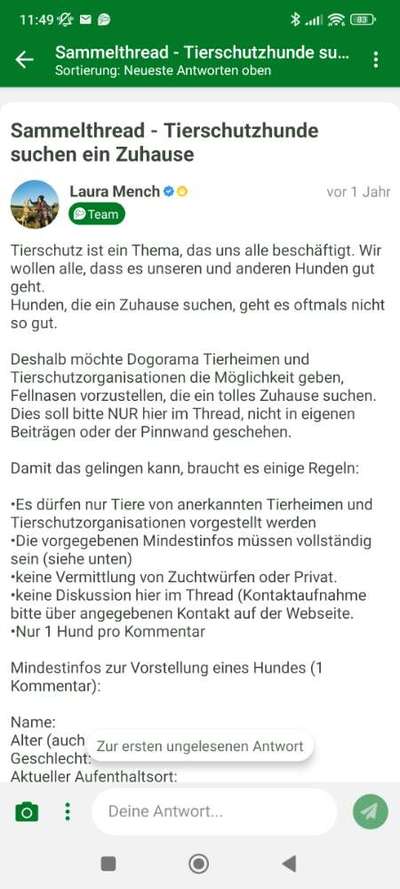 TierschutzhundeStammtisch🐕-Beitrag-Bild