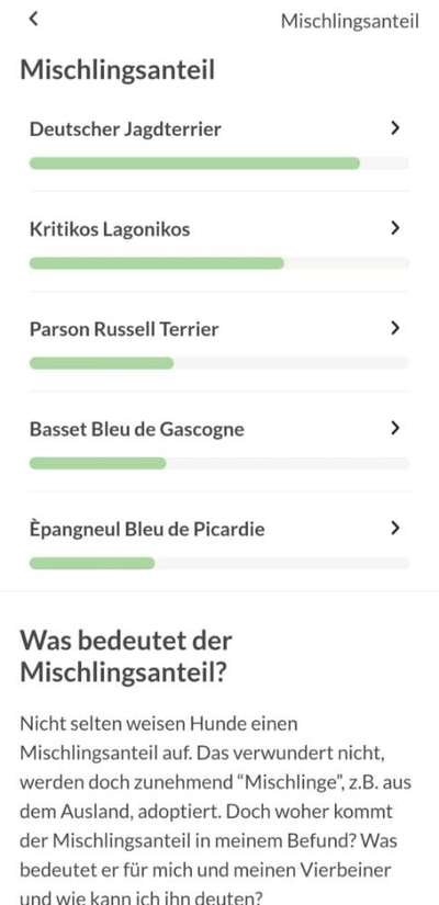 TierschutzhundeStammtisch🐕-Beitrag-Bild