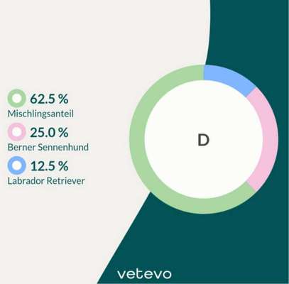 TierschutzhundeStammtisch🐕-Beitrag-Bild