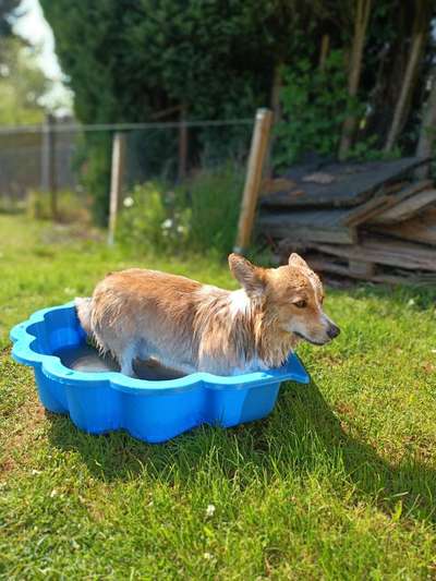 22. Handy Foto - Challenge-Beitrag-Bild