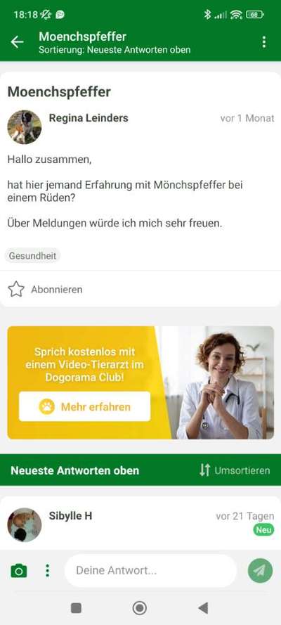 TierschutzhundeStammtisch🐕-Beitrag-Bild