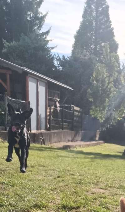 20. Handy -Foto-Callenge-Beitrag-Bild