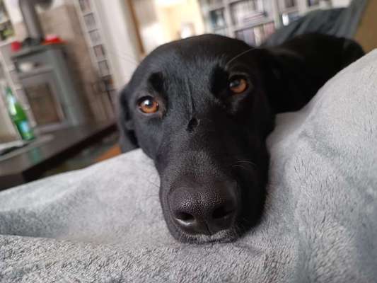 Außergewöhnliche Merkmale-Beitrag-Bild