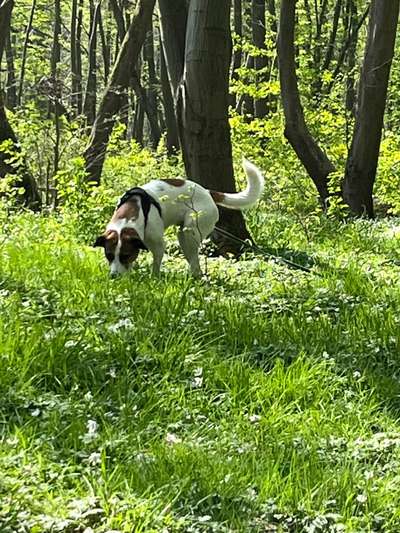 Foto Challenge Nr. 79-Beitrag-Bild