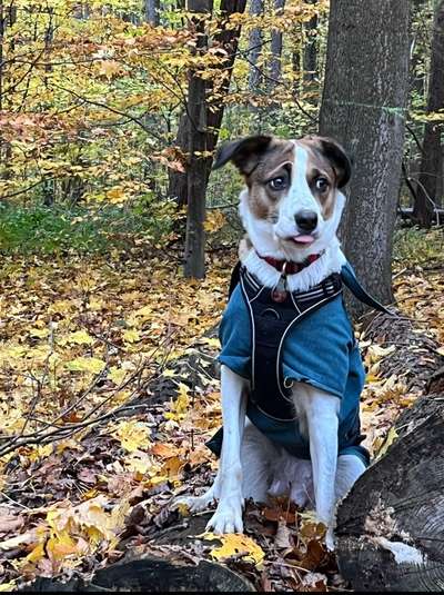 Foto Challenge Nr. 79-Beitrag-Bild