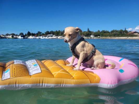 Fotochallenge Nr.100 Urlaubsimpressionen-Beitrag-Bild