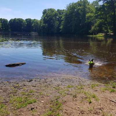 Foto Challenge - BEENDET - bitte aktuelle Challenge nutzen-Beitrag-Bild