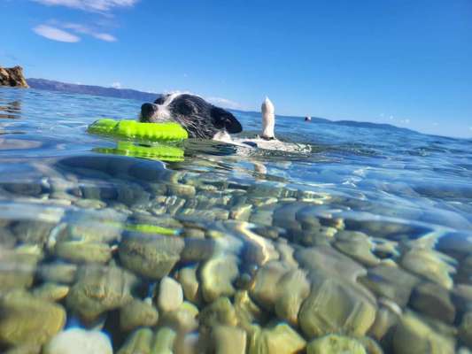 Fotochallenge Nr.100 Urlaubsimpressionen-Beitrag-Bild