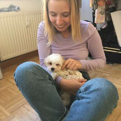 Hundetreffen-Welpentreffen in Reudnitz-Profilbild