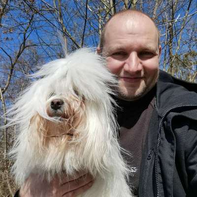 Hundetreffen-Walk&Play-Profilbild