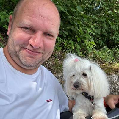 Hundetreffen-Walk&Play