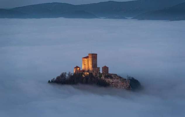Wie heißt dein Hund?-Beitrag-Bild