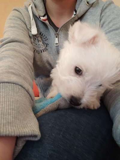 Erstes Bild-Beitrag-Bild